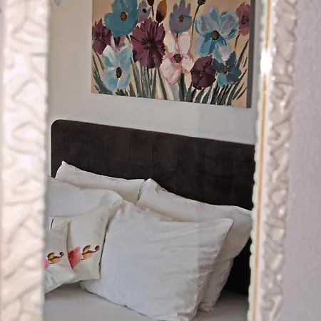 House Panorama Zecevo